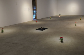 DSCF0486-01.jpg